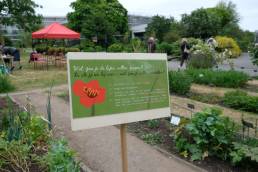 Sign board with exercise step-by-step to make flower seed bombs